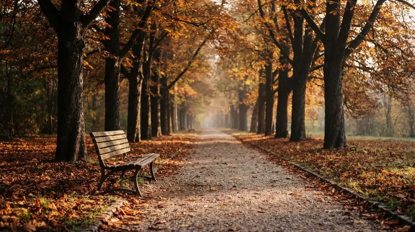 Eine Parkallee mit Kastanienbäumen und einer leeren Bank, Herbstlaub bedeckt den Kiesweg.