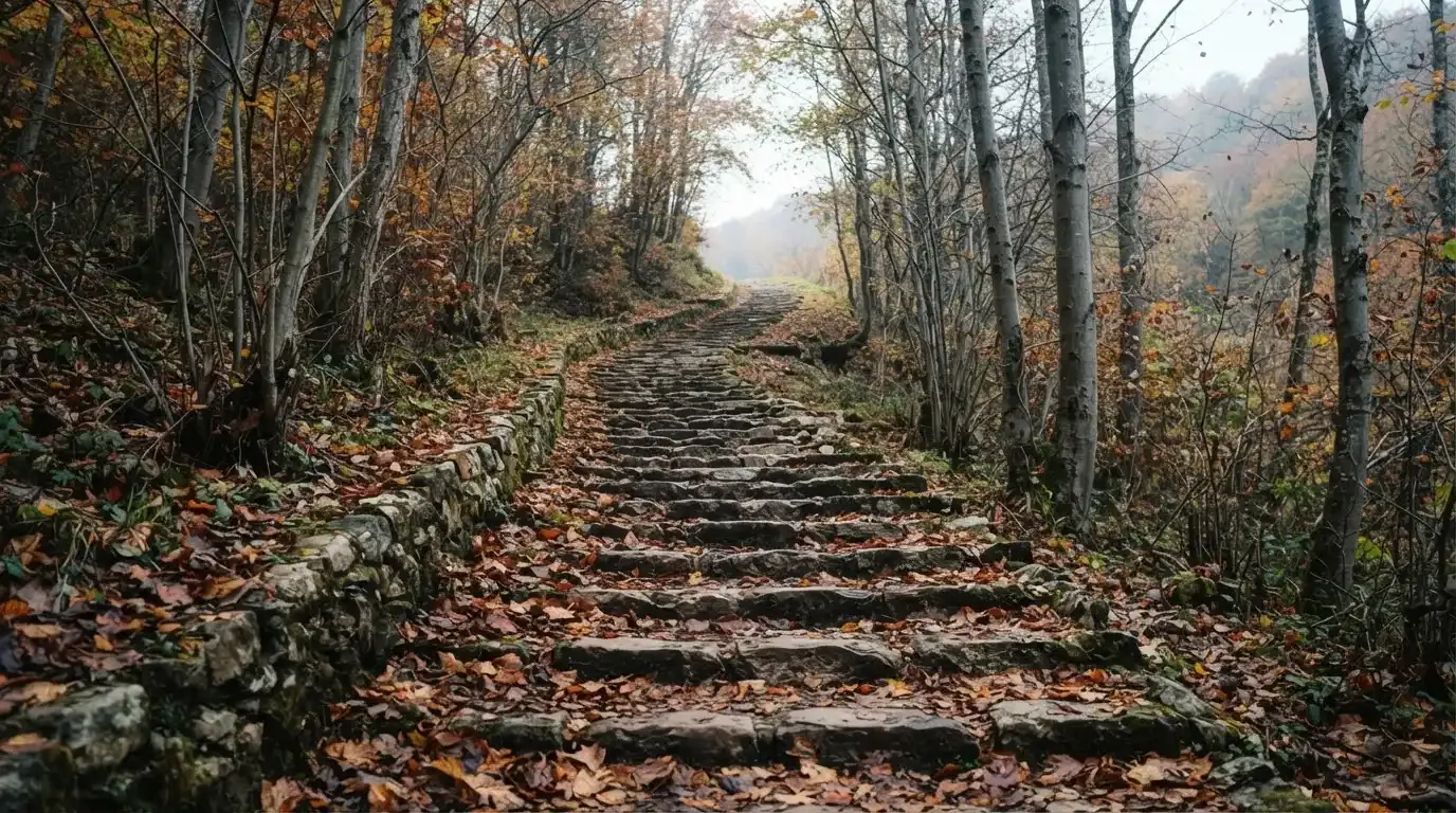 Eine Steintreppe führt einen Hügel hinauf, die Stufen sind mit Herbstlaub bedeckt und seitlich stehen kahle Bäume.