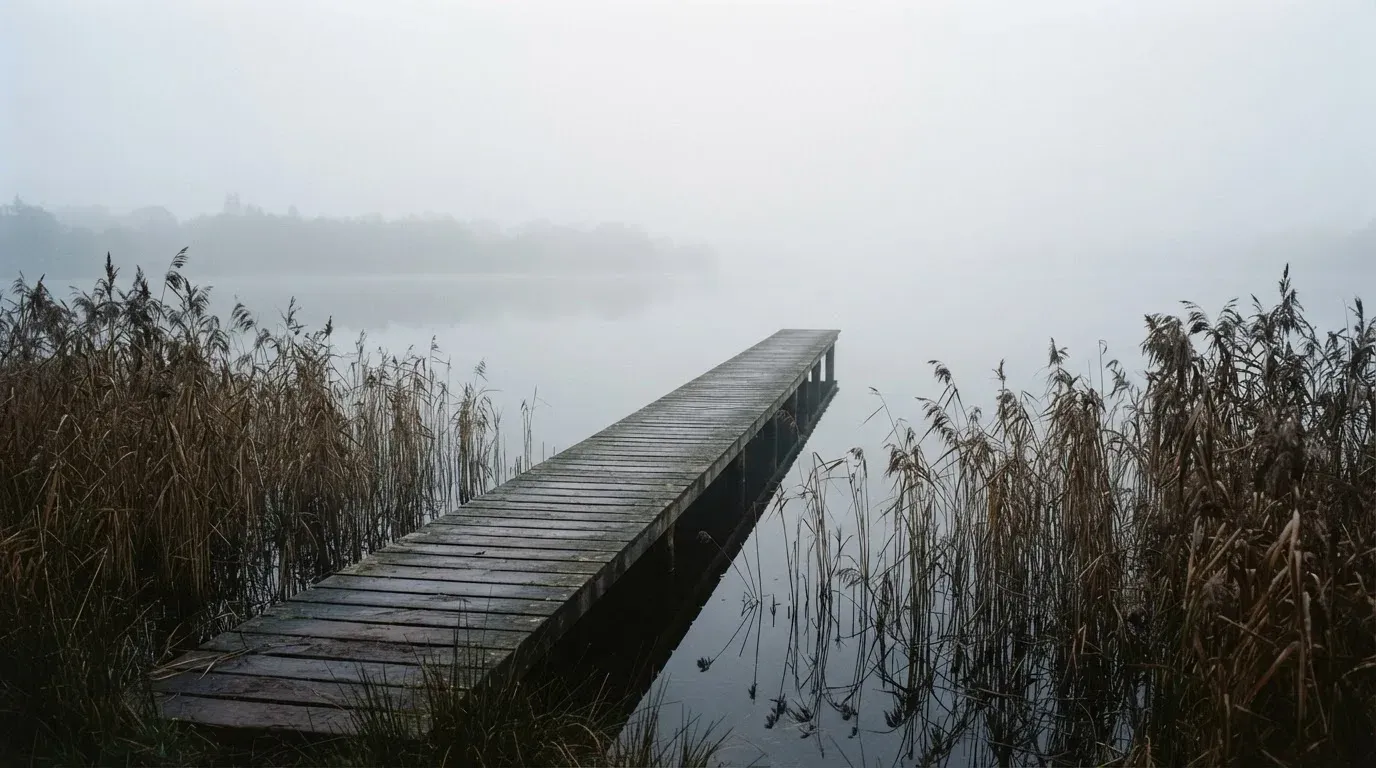 Ein Seeufer mit Schilf und einem schmalen Holzsteg liegt im Nebel, das Wasser ist ruhig und das andere Ufer kaum sichtbar.