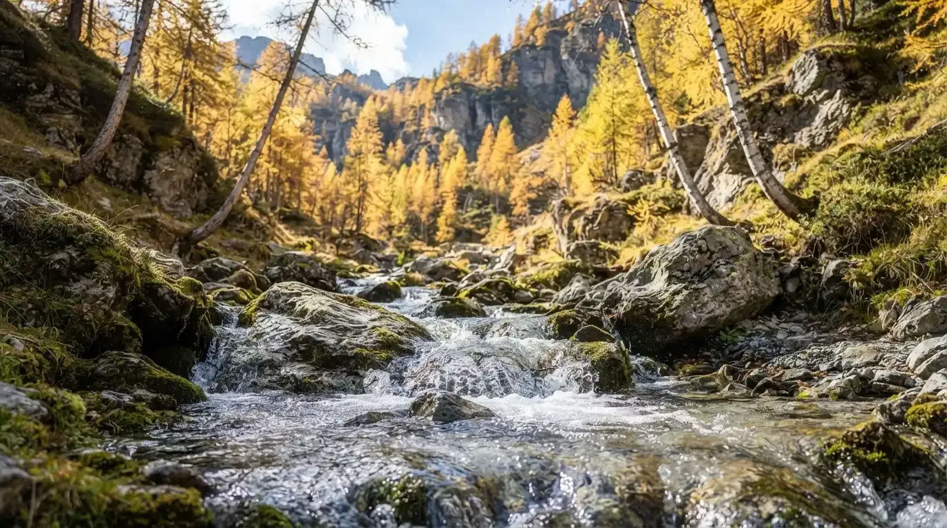 Ein Bergbach fliesst über glatte Steine durch ein enges Tal, an den Hängen leuchten Lärchen in gelbem Herbstlicht.