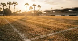 Afrika-Cup Wetten Schweiz 2026 – Anbieter, Recht & Quoten