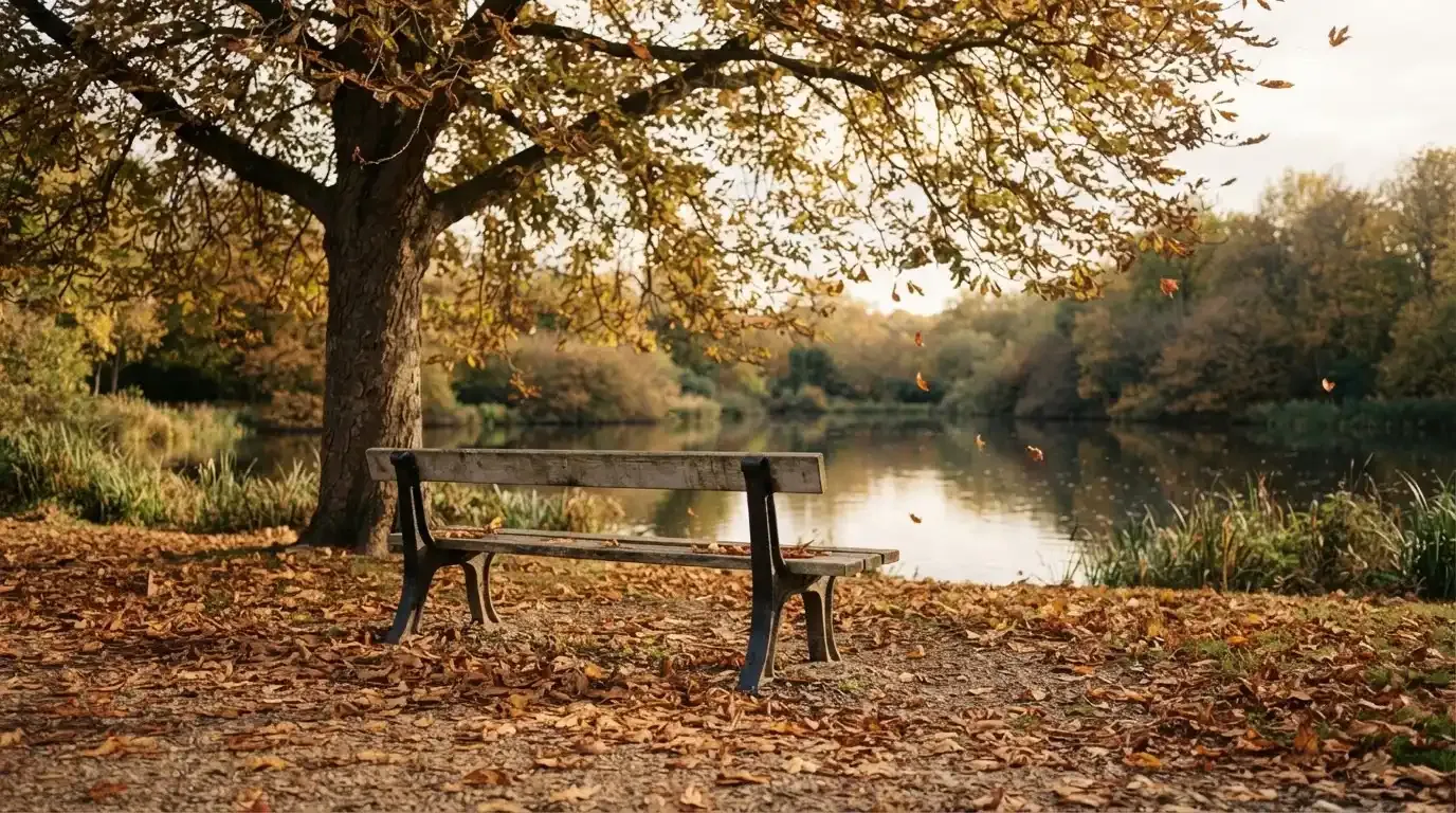 Eine Parkbank unter einer Kastanie, Herbstlaub bedeckt den Kiesweg, im Hintergrund ein stiller Teich.